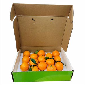 [Hot Item] Custom Best Price Corrugated Paper Fruit and Vegetable Carton Fruit Packing Box