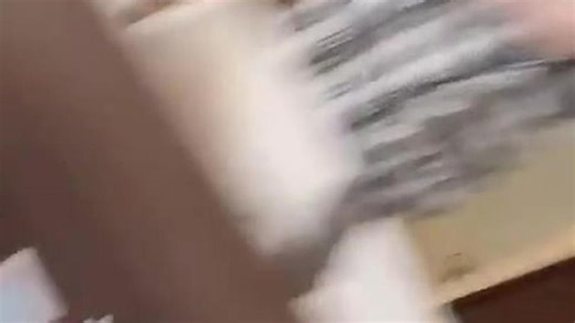 Harley West | harleyxwest | Savanna Barajas