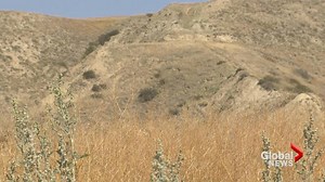 ‘This is our major fire season’: Southern Alberta fire risks still high despite forecasted rain