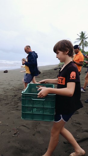 Turtle postToday, volunteers got to be a part of something extremely special. 🙌🏻 🥚The poaching of sea turtle eggs in Costa Rica is a major issue, and we partner with a local project that is working to help #savetheturtles . Last week our volunteers went to patrol the beach at night and got to collect freshly laid turtle eggs. Once collected, they brought them back to the site where they’re placed in a nest. The eggs stay in the nest at a safe location until they hatch, not only to protect fro