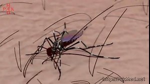 Targeting the Mosquitoes Sense of Smell -- National Institute of Allergy and Infectious Diseases (NIAID/NIH) | PakMed - CME | Facebook