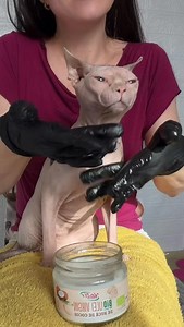 In love with my Sphynx cats 🥰 #sphynx #sphynxcat #sphynxoftiktok #hairlesscat #cats | Felisa Sphynx Romania Sphynx & Lykoi Cattery