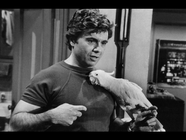 Le migliori serie TV americane e britanniche degli anni '70