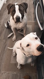 26 reactions | KOOPA 勺 My Foster Brother and I got to help Mom make...