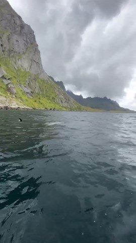 Exploring Lofoten nature photography adventure