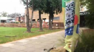 2.1K views · 32 reactions | Working on getting this journal done,...