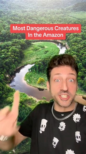 Most dangerous creatures in the Amazon 👀 #funfacts | Odd Danny