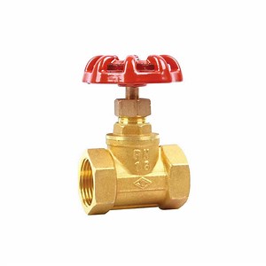 [Hot Item] Mech Pn20 Brass Gate Valve for HVAC Manual Water Valve From China