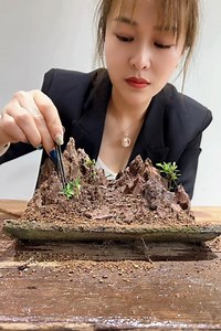 2.1K views · 48 reactions | Mini bonsai art | Art idea | Facebook