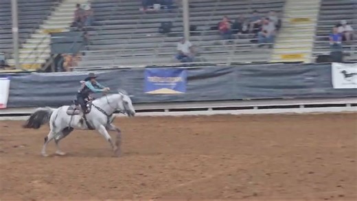 31K views · 261 reactions | Chasinchickswithcash AQHA Stallion My first weekend with this guy and wow, I'm impressed .. quite a fun ride thank you so much Heather Standar Mangus and Tom for trusting me with your precious stallion. He is such a gentleman. | Fancy Fast Horses | Facebook