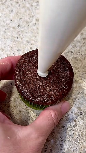 Christmas Cupcake, Elf Movie Inspired #cupcake #christmas #elfmovie #christmascupcakes #christmasdesserts | Daffy Duck Cooks