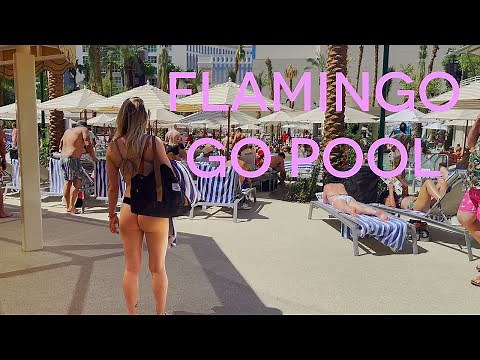 So Many Bikinis So Little Seating at Flamingo Go Pool