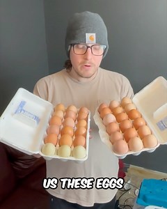 What's Growing Inside These Eggs? #farmlife #farm #animals #incubator #eggs | Fishin’ with Tate