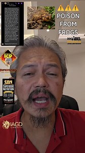 BUFOTOXIN - POISON FROM TOADS / FROGS ⚠️⚠️⚠️ #DocAbelManaloOfficial #TheVETrepreneur Manalo K9 Technologies International Corporation Manalo Group of Companies Manalo Resort Hotel Manalo Cafe & Manalo Unli Samgyupsal SDN - Superdog Nutrition IAGD - The International Animal Genetics Database Superdog Soap & Shampoo #vet #veterinarian #dogs #pets #petcare #dogcare #SDN #dogfood #bestdogfood #dogtraining #IAGD #Superdog #ManaloK9 #ManaloResortHotel #ManaloCafe #ManaloCity | Manalo Group of Companie