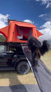 1.3K views | Pawsitively obsessed with adventure  Elevate your ride game while treating your furry co-pilot to adventure-approved gear! Check out the Doggo RTT Ramp at Rack Attack ✨ | Loma Square | Facebook