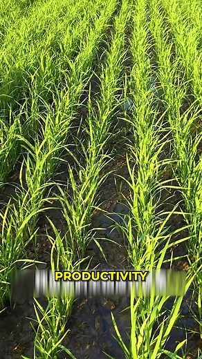 Smart Tractor Seed Planter Machine. #SeedPlanter #FarmInnovation | Modern Idea