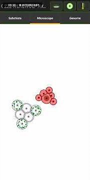 Cell Lab - Egg concept