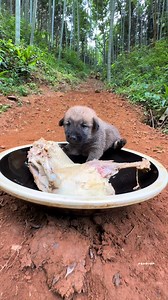 884K views · 5.3K reactions | "The purest form of love and...