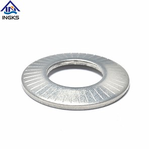 [Hot Item] Franch Standard NF E25-51 Washer Conical Spring Washer