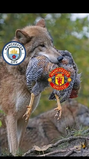 ass less women are the realesst😅 | Tasha Morgan