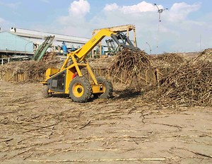[Hot Item] China Top Three Wheel Mini Sugarcane Loader with Rotating Grab for Sale