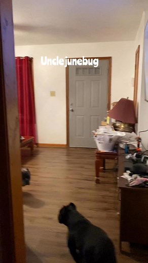 When uncle junebug going to fix your transmission #funnyvideo #funnyreels | Jeremy Perkins