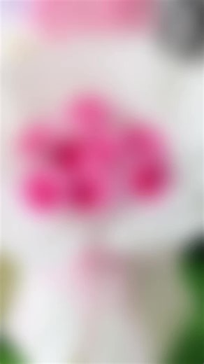 KC Floral & Bakery on TikTok