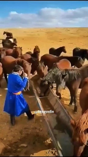152K views · 1K reactions | Tangkapan pas, tepat sasaran. #kudapacu #horse #fyp #viral #kudaliar | Bang Yadin | Facebook