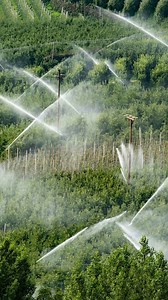 Our latest #FreshPicks video comes from NextGen Fellow Emily Kropf of GreenStone Farm Credit Services. From her office to the farm, she's passionate about crop loss management and new ways of helping farmers protect their orchards. Join us as she gives the lowdown on how she and GreenStone enable growers to thrive. #FreshPicks #Apples #LossPrevention Music: Bensound | USApples