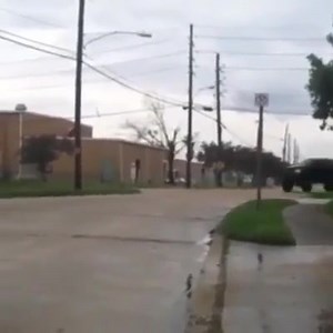 2.1K reactions · 520 shares | Sick little corner whip! | Sparks Motors | Facebook