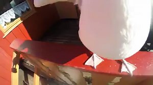 93K views · 770 reactions | You break it, we’ll replace it. No...