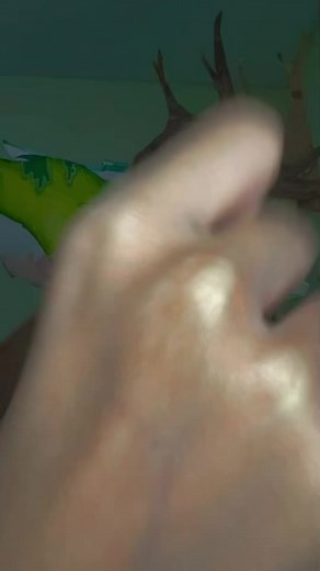 Celebrating My Third Birthday with Dragon Puppets