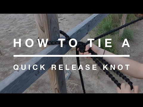 How to Tie a Quick Release Knot for Horses