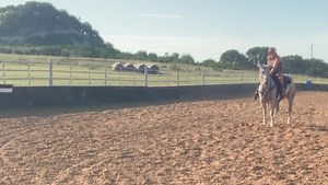 yeah the big sandy arena with barrels against the fence is great and all But have you seen the flag? 😜 | SBVentures ATX