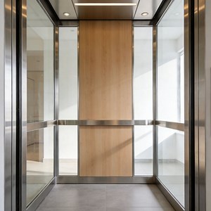 [Hot Item] Residential Elevator Includes Fold Down Seat and Grab Bars for Accessible Home Design