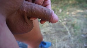 Vise Pietersheim en Michelangelo nature.