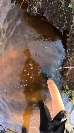 Strange find in my hands.... | Metal Detecting