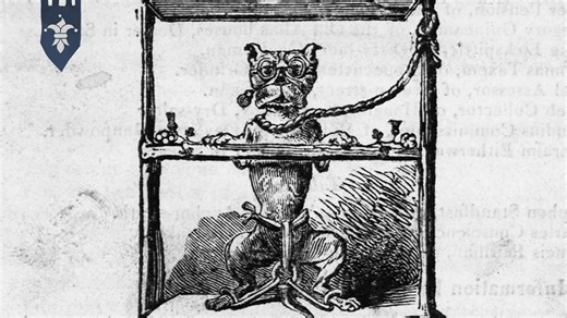 Convicting Animals: The Bizarre Trials of the Middle Ages