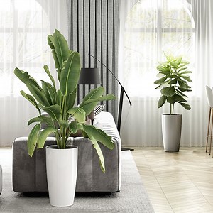 [Hot Item] Factory Price Wholesale Large Size Plastic Cylinder Luxury Style Vertical PP Garden Planter Big Flower Pots for Plants