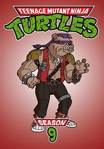 Teenage Mutant Ninja Turtles Season 9 - episodes streaming online