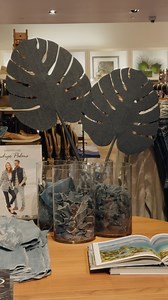 Introducing Indigo Palms by Tommy Bahama! 🌊 This new lifestyle denim collection features eco-friendly washes, perfected fits, and versatile pieces for both men and women. Embrace the laid-back island vibe with comfort and style, crafted from sustainable fabrics made to last. | Fashion Show