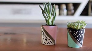 287K views · 555 reactions | Give your plants a modern home with...