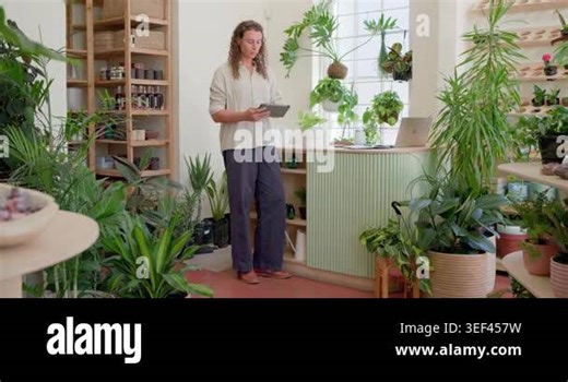 Nonbinary adult using tablet, glancing at laptop, smiling, nodding at offscreen voice in plant shop. Daylight, greenery, workflow, retail, calm, wooden, jars Stock Video Footage - Alamy