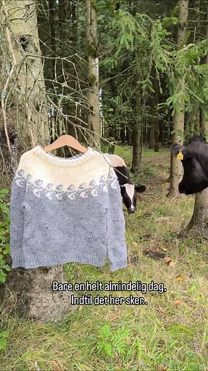 En helt almindelig dag, for to kører... Design: #havskumsweater Designer: Marie Hoff @Hoffknitting | Marie Lund Hoff