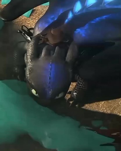 Angry Toothless | How to Train Your Dragon