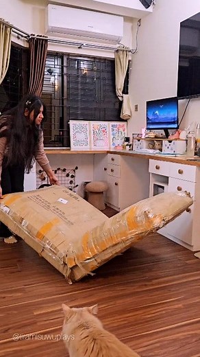 ✨ Unboxing 📦 Chair sofa bed thingy 💀 From: Kawaii Shop Bangladesh #unboxing #homedecor #decor #furniture #gaming #bd #Bangladesh | Tiramisuwu Plays
