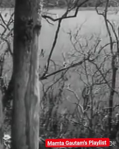 Song Name : Sau Saal Pehle Album / Movie : Jab Pyar Kisise Hota Hai 1961 Star Cast : Dev Anand, Asha Parekh, Pran Singer : Lata Mangeshkar, Mohammed Rafi Music Director : Jaikishan Dayabhai Panchal, Shankar Singh Raghuvanshi Lyrics by : Hasrat Jaipuri Music Label : Saregama | Mamta Gautam's Playlist