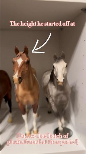 The “oddballs” of my Breyer Horse collection 🤪