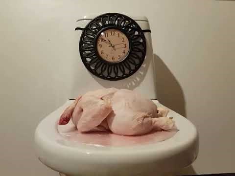 SLAPPING A Chicken For 10 Hours