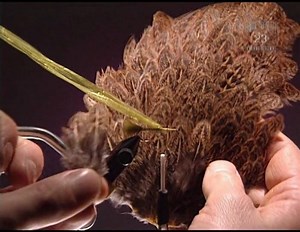 THis is the Whitlock's Damsel nymph. Great fly for still waters. See the transcription below if needed. Wet Flies: Damsels and Dragons: Whitlocks Damsel Times: 0:00 - 8:34 (Full Video) Hook: #8-3x Streamer Thread: Olive 6/0 Tail: Olive Marabou Rib: Solid Silver Wire Body: Olive Antron Dubbing Wingcase: Olive Raffia/Swiss Straw Legs: Speckled Hen Saddle Eyes: Melted Mono Line 1. For this, we're going to use a #8, 3 extra long nymph hook or streamer hook. We definitely want a hook with a little bi